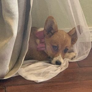 Meet your Posher, Kelly